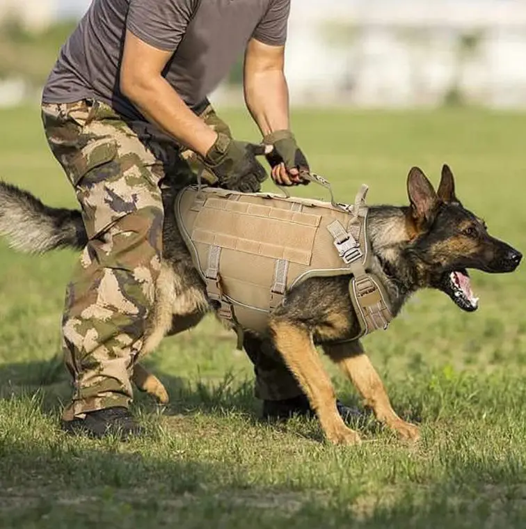 ריתמה לכלבים צבאית מקצועית k9